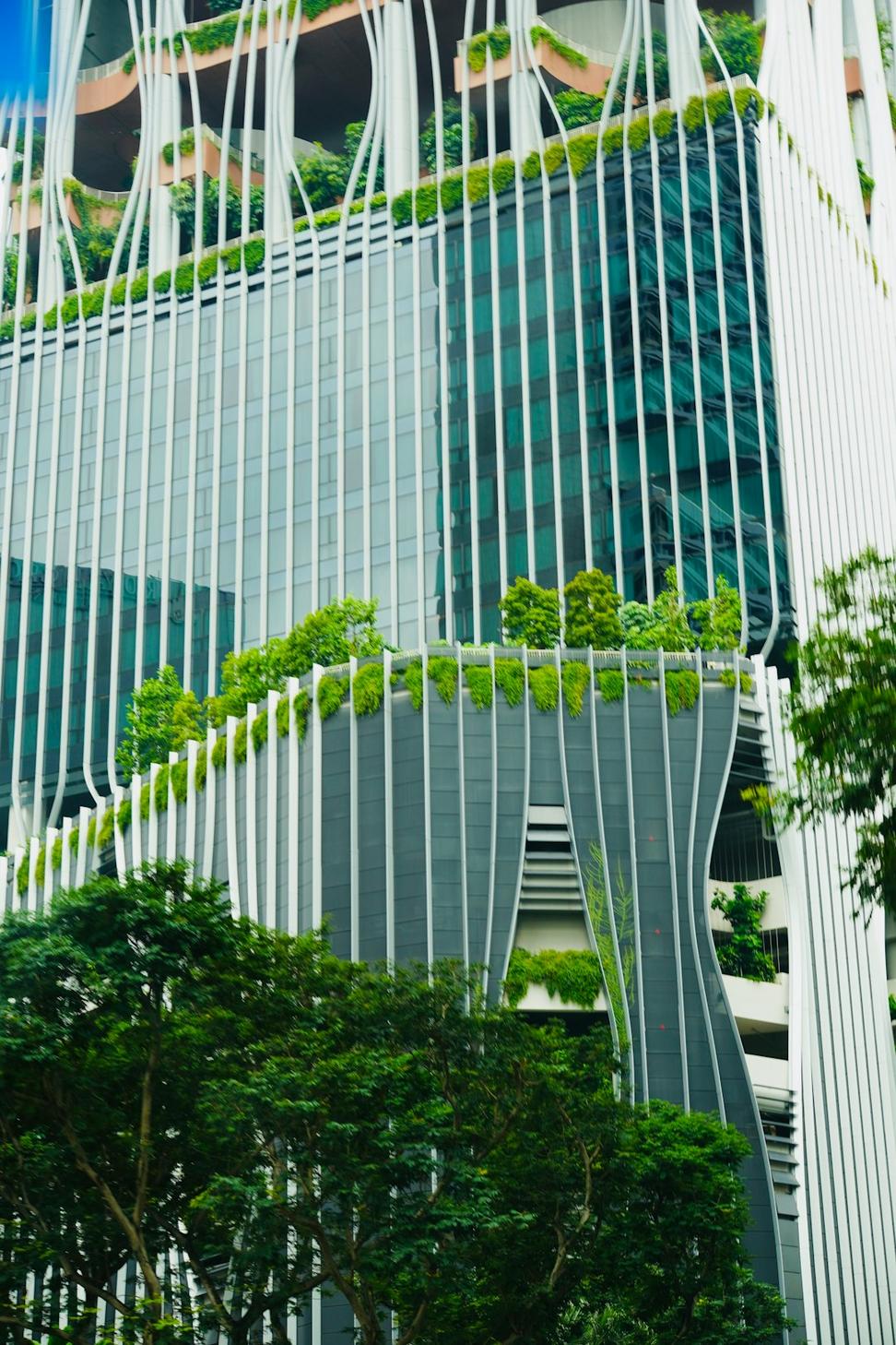 GreenTech Innovation Hub